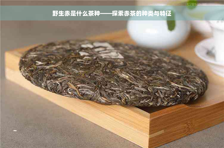 野生赤是什么茶种——探索赤茶的种类与特征