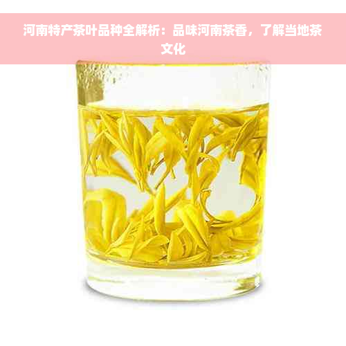 河南特产茶叶品种全解析：品味河南茶香，了解当地茶文化