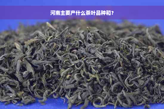 河南主要产什么茶叶品种和？