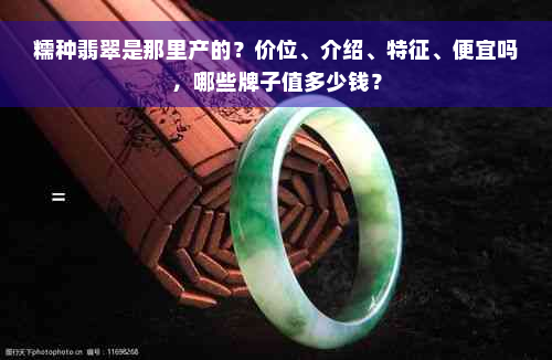 糯种翡翠是那里产的？价位、介绍、特征、便宜吗，哪些牌子值多少钱？