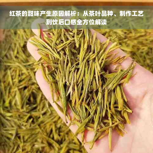 红茶的甜味产生原因解析：从茶叶品种、制作工艺到饮后口感全方位解读