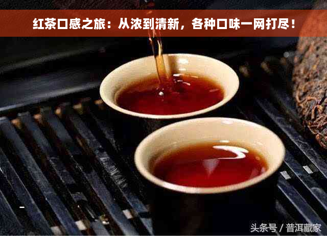 红茶口感之旅：从浓到清新，各种口味一网打尽！