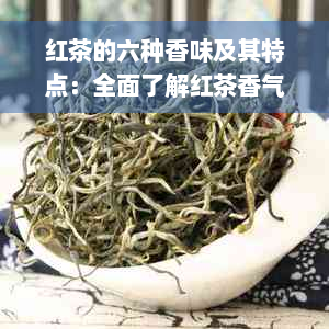 红茶的六种香味及其特点：全面了解红茶香气的奥秘