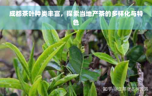 成都茶叶种类丰富，探索当地产茶的多样化与特色