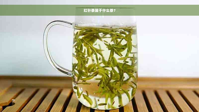 红针茶属于什么茶？