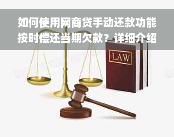 如何使用网商贷手动还款功能按时偿还当期欠款？详细介绍及操作步骤