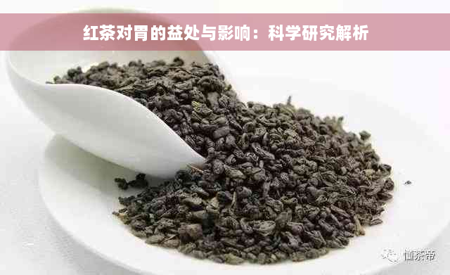 红茶对胃的益处与影响：科学研究解析