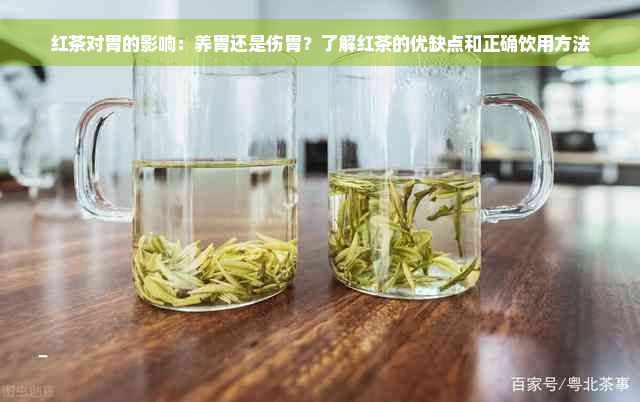 红茶对胃的影响：养胃还是伤胃？了解红茶的优缺点和正确饮用方法