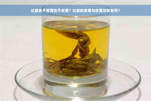 红茶养不养胃伤不伤胃？红茶的养胃与伤胃功效如何？