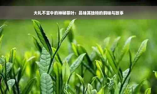 大礼不言中的神秘茶叶：品味其独特的韵味与故事