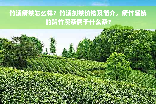 竹溪箭茶怎么样？竹溪剑茶价格及简介，箭竹溪镇的箭竹溪茶属于什么茶？