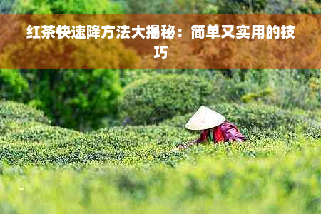 红茶快速降方法大揭秘：简单又实用的技巧