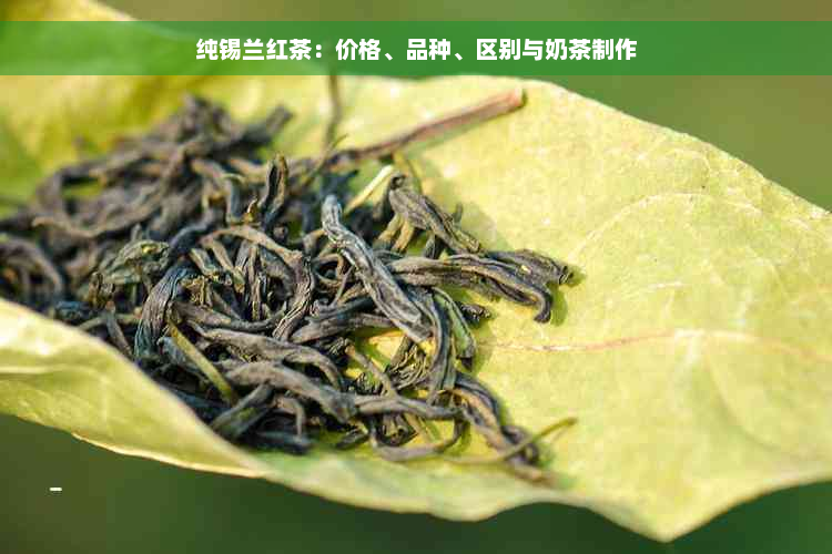 纯锡兰红茶：价格、品种、区别与奶茶制作