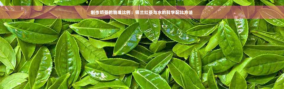 制作奶茶的精准比例：锡兰红茶与水的科学配比方法