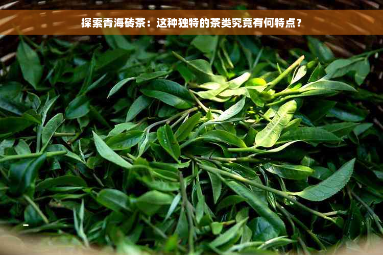 探索青海砖茶：这种独特的茶类究竟有何特点？