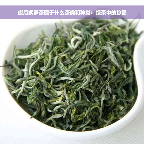 峨眉紫笋茶属于什么茶类和种类：绿茶中的珍品