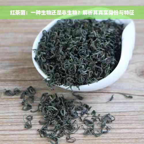 红茶菌：一种生物还是非生物？解析其真实身份与特征