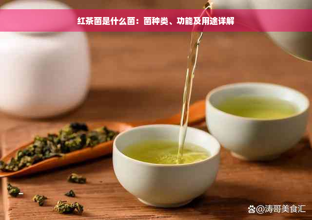 红茶菌是什么菌：菌种类、功能及用途详解