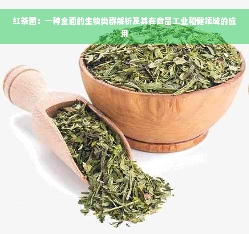 红茶菌：一种全面的生物类群解析及其在食品工业和健领域的应用