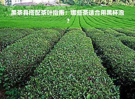 黑茶具搭配茶叶指南：哪些茶适合用黑杯泡？