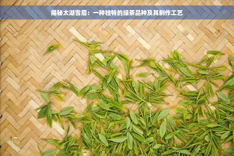 揭秘太湖雪眉：一种独特的绿茶品种及其制作工艺