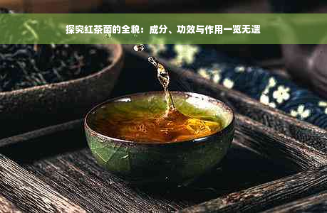 探究红茶菌的全貌：成分、功效与作用一览无遗