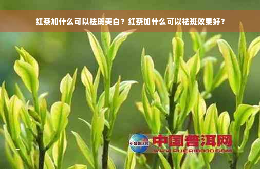 红茶加什么可以祛斑美白？红茶加什么可以祛斑效果好？