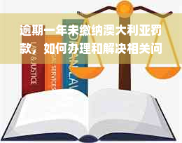 逾期一年未缴纳澳大利亚罚款，如何办理和解决相关问题？