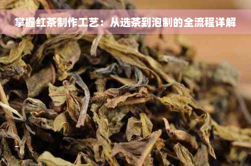 掌握红茶制作工艺：从选茶到泡制的全流程详解