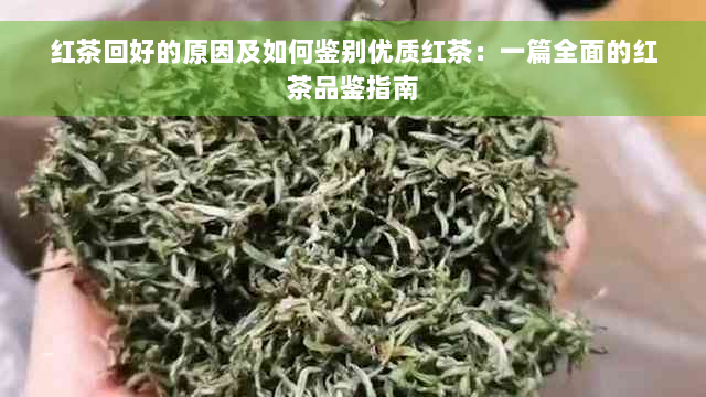 红茶回好的原因及如何鉴别优质红茶：一篇全面的红茶品鉴指南