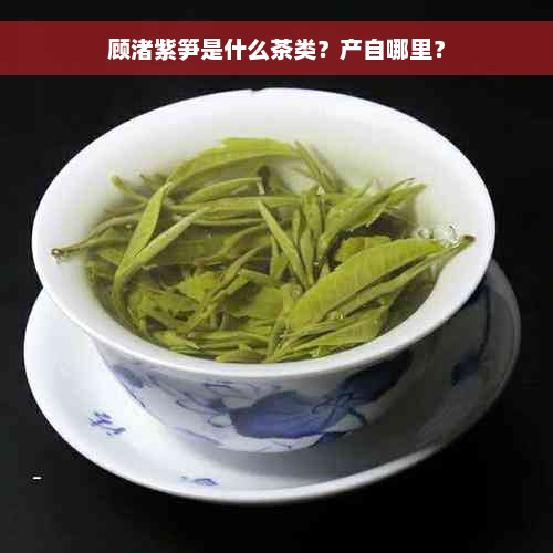 顾渚紫笋是什么茶类？产自哪里？