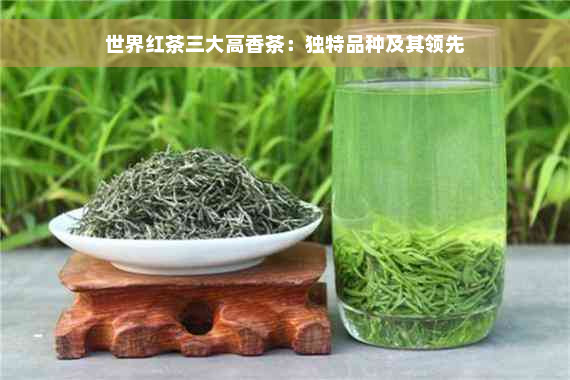 世界红茶三大高香茶：独特品种及其领先