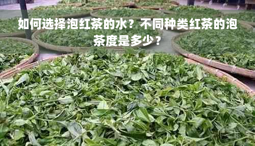 如何选择泡红茶的水？不同种类红茶的泡茶度是多少？