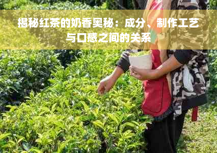 揭秘红茶的奶香奥秘：成分、制作工艺与口感之间的关系