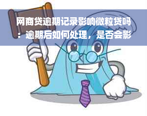 网商贷逾期记录影响微粒贷吗：逾期后如何处理，是否会影响房贷和征信？