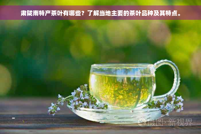 肃陇南特产茶叶有哪些？了解当地主要的茶叶品种及其特点。