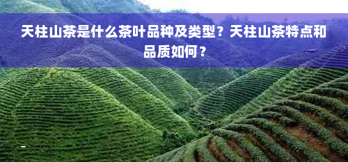 天柱山茶是什么茶叶品种及类型？天柱山茶特点和品质如何？