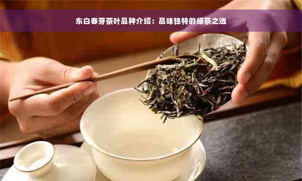 东白春芽茶叶品种介绍：品味独特的绿茶之选