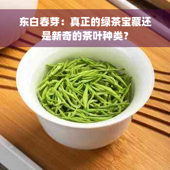 东白春芽：真正的绿茶宝藏还是新奇的茶叶种类？