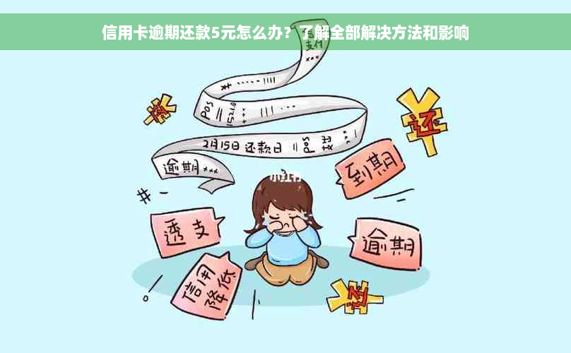 信用卡逾期还款5元怎么办？了解全部解决方法和影响