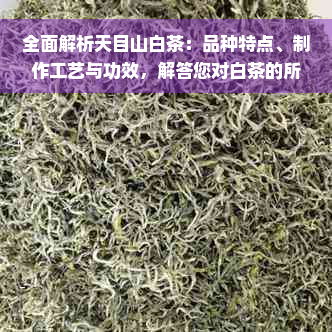 全面解析天目山白茶：品种特点、制作工艺与功效，解答您对白茶的所有疑问