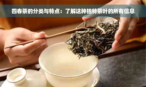 四春茶的分类与特点：了解这种独特茶叶的所有信息