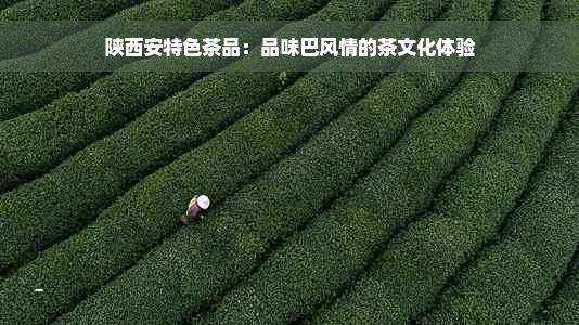 陕西安特色茶品：品味巴风情的茶文化体验