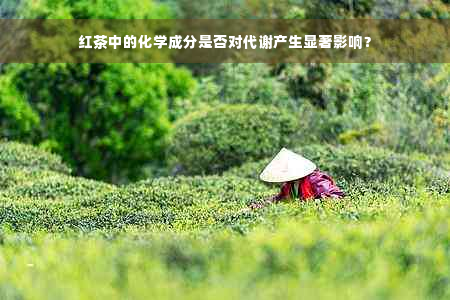 红茶中的化学成分是否对代谢产生显著影响？