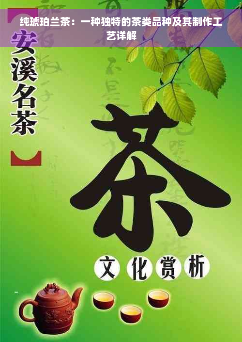 纯琥珀兰茶：一种独特的茶类品种及其制作工艺详解