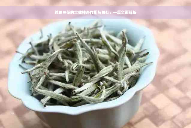 琥珀兰茶的全效神奇作用与益处：一篇全面解析