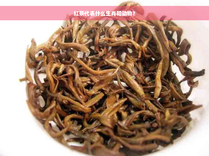 红茶代表什么生肖和动物？