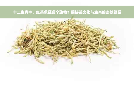 十二生肖中，红茶象征哪个动物？揭秘茶文化与生肖的奇妙联系