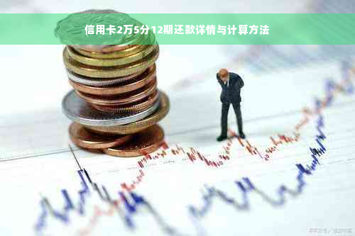 信用卡2万5分12期还款详情与计算方法