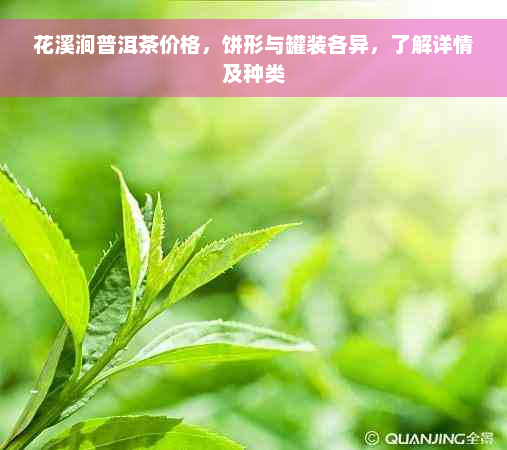 花溪涧普洱茶价格，饼形与罐装各异，了解详情及种类